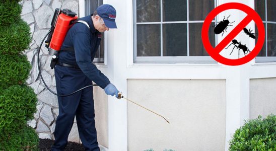Basınsitesi Dezenfeksiyon böcek ilaçlama ve haşere kontrolü — ilaclama-tr.com